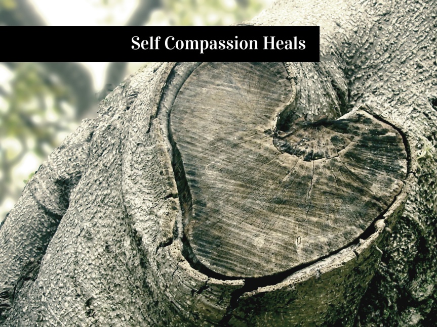 Self-Compassion Heals